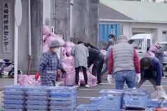 Người dân tái chế rác thải ở Osaki (Nhật Bản). (Nguồn: UN News)