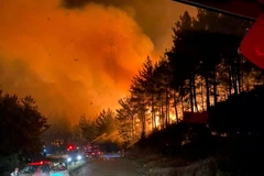 Hiện trường vụ cháy rừng ở tỉnh Canakkale (Thổ Nhĩ Kỳ) ngày 20/6/2024. (Ảnh: THX/TTXVN)