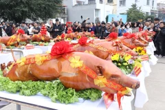 Nằm trong Hội thi "Hương sắc ẩm thực Xứ Lạng Xuân Giáp Thìn năm 2024," ngày 7/3, tại Trung tâm Hội chợ Thương mại tỉnh Lạng Sơn, Ủy ban Nhân dân thành phố Lạng Sơn phối hợp với các đơn vị tổ chức thi trình diễn quay lợn, với sự tham gia của 23 đơn vị gồm các huyện, thành phố và các cơ sở chế biến thực phẩm trong tỉnh. (Ảnh: Anh Tuấn/TTXVN)