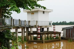 Mực nước sông Tiền (qua địa bàn tỉnh Đồng Tháp) đang lên nhanh. (Ảnh: Nhựt An/TTXVN)