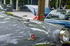 Bộ trưởng Bộ Công Thương Liên bang Nga cho biết logo có hình con hươu của xe Volga "sẽ được cả thế giới biết đến." (Nguồn: iStock)