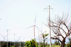 Ngắm hình ảnh cánh đồng điện gió hùng vỹ, nên thơ trên miền Đất Võ