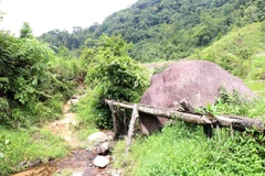 Ảnh minh họa. (Ảnh: Cao Nguyên/TTXVN)