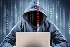 Ảnh minh họa. (Nguồn: Showmetech)