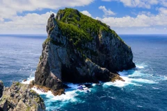 Nhiệt độ bề mặt nước biển đã tăng từ 0,63 đến 1,05 độ C trên khắp các vùng đại dương của New Zealand kể từ năm 1982. (Nguồn: NZ Herald)