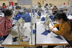 Giá trị xuất khẩu nhập giữa Việt Nam và Chile vượt 1,4 tỷ USD trong năm ngoái. (Ảnh: Trần Việt/TTXVN)