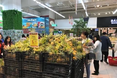 Từ năm 2016 trở lại đây kim ngạch xuất khẩu mặt hàng này đã vượt cả xuất khẩu gạo, dầu thô. (Ảnh: Xuân Quảng/Vietnam+)