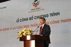 Thứ trưởng Đỗ Thắng Hải phát biểu tại Lễ công bố Chương trình hành động vì An toàn thực phẩm ngành công thương. (Ảnh: Đức Duy/Vietnam+)