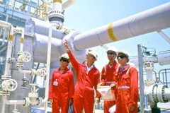 Nhà máy chế biến khí Nam Côn Sơn. (Ảnh: PV/Vietnam+)