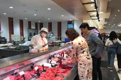 Ảnh chỉ mang tính minh họa. (Nguồn: Đức Duy/Vietnam+)