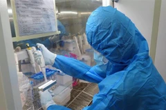 (Ảnh minh họa: Xuân Triệu/TTXVN)