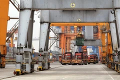 Bốc xếp hàng hóa tại cảng Đình Vũ. (Ảnh: An Đăng/TTXVN)