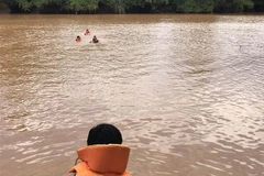 (Ảnh minh họa: Đậu Tất Thành/TTXVN)