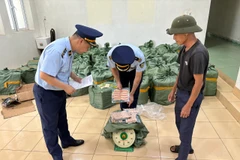 Đội Quản lý Thị trường số 4 tiến hành kiểm đếm tang vật vi phạm. (Ảnh: PV/Vietnam+)