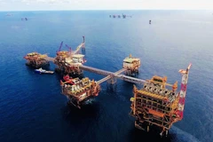 Ảnh chỉ mang tính minh họa. (Nguồn: PV/Vietnam+)