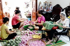 Công đoạn ướp trà sen tại một gia đình nghệ nhân có truyền thống nhiều đời ở Hồ Tây, Hà Nội. (Ảnh: Khánh Hòa/TTXVN)