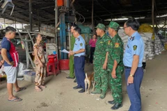Lực lượng liên ngành kiểm tra cơ sở kinh doanh túi nhựa PP tại tỉnh An Giang. (Ảnh: PV/Vietnam+)