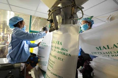 Doanh nghiệp tận dụng các cơ hội thị trường để thúc đẩy xuất khẩu. (Ảnh: Đức Duy/Vietnam+)