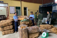 Lực lượng chức năng tỉnh Lạng Sơn kiểm tra ôtô chở nguyên liệu thuốc lá có dấu hiệu vi phạm. (Ảnh: PV/Vietnam+)