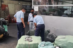 Lực lượng chức năng kiểm tra thực phẩm đông lạnh tại cơ sở trên địa bàn thành phố Thủ Đức. (Ảnh: PV/Vietnam+)