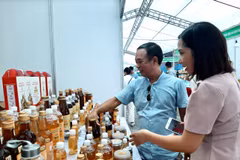 Doanh nghiệp giới thiệu sản phẩm mật ong tới người tiêu dùng. (Ảnh: Đức Duy/Vietnam+)