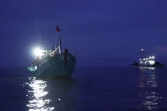 Ảnh minh họa. (Ảnh: TTXVN phát)