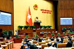 Quốc hội biểu quyết thông qua Luật sửa đổi, bổ sung một số điều của Luật Bảo hiểm y tế. (Ảnh: Doãn Tấn/TTXVN)