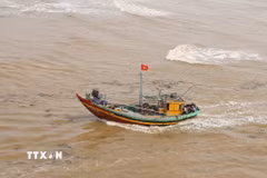 (Ảnh minh họa: TTXVN)