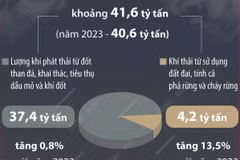 Khí thải carbon toàn cầu dự kiến cao kỷ lục trong năm 2024
