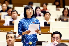 Đại biểu Quốc hội tỉnh Hải Dương Nguyễn Thị Việt Nga phát biểu ý kiến. (Ảnh: Doãn Tấn/TTXVN)
