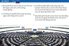 [Infographic] Châu Âu bắt đầu bầu Nghị viện nhiệm kỳ 2019-2024