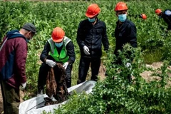 Trong số các nạn nhân có 5 người mặc trang phục các con tin của tổ chức IS. (Nguồn: The Sun Daily)