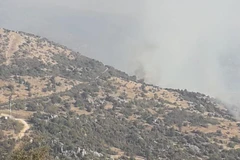 (Nguồn: timesofisrael.com)