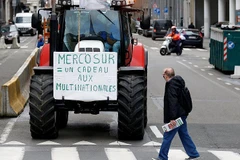 Nông dân Bỉ phản đối bên ngoài cuộc họp của các Bộ trưởng nông nghiệp EU tại Brussels. (Nguồn: Reuters)
