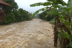 Mưa liên tục gây lũ tại tỉnh Sơn La. (Ảnh: Nguyễn Cường/TTXVN)