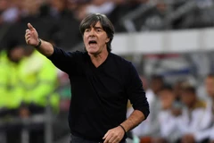 Chiến thuật của Loew không thể giúp Đức tránh khỏi thất bại trước Hà Lan. (Nguồn: AP)