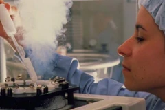 [Video] Ngày càng nhiều phụ nữ Anh chọn đông lạnh trứng