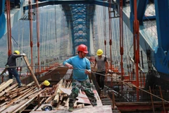 Ảnh minh họa. (Nguồn: nikkei.com)