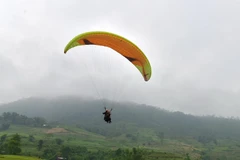 (Ảnh minh họa: Văn Tý/TTXVN)