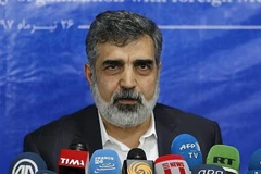 Người phát ngôn AEO Behrouz Kamalvandi. (Nguồn: AFP)