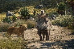 Triết lý sống vô tư Hakuna Matata là điều mà phim đã truyền cảm hứng tới đời thực (Nguồn: Disney)