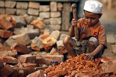 Ảnh minh họa. (Nguồn: pixhd)