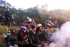 Ngăn chặn triệt để xâm nhập trái phép vào Vườn quốc gia Bidoup-Núi Bà