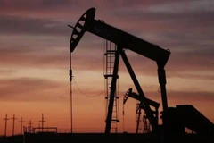 Ảnh minh họa. (Nguồn: Getty Images)