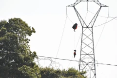 Một phi công bị vướng dù vào đường dây cao thế. (Nguồn: Metro)
