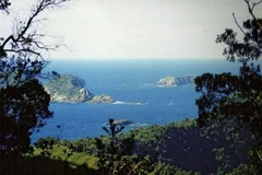 Khu vực quần đảo Kermadec. (Nguồn: britannica.com)