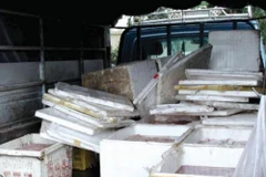 Bắt giữ hai đối tượng vận chuyển 1,6 tấn thực phẩm nhập lậu