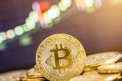 (Nguồn: CoinDesk)