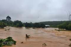 (Ảnh minh họa: Đậu Tất Thành/TTXVN)