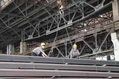 Ảnh minh họa. (Ảnh: Hoàng Nguyên/TTXVN)